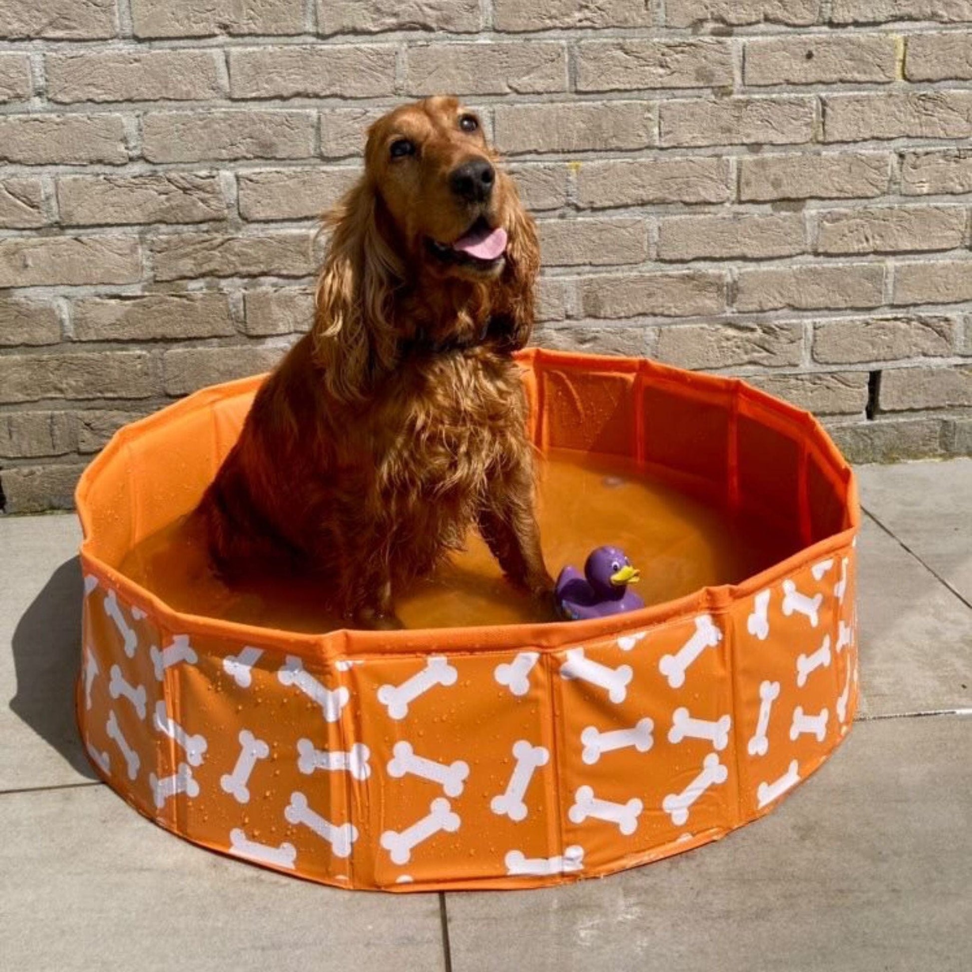 honden-zwembad-oranje-botjes-80-cm-swim-essentials-2