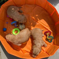 honden-zwembad-oranje-botjes-80-cm-swim-essentials-5