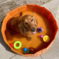 honden-zwembad-oranje-botjes-80-cm-swim-essentials-4