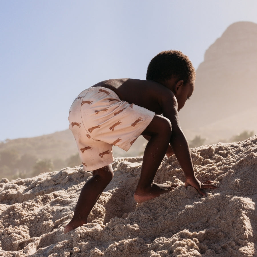 Zwemboxer - Bruin - Roamer