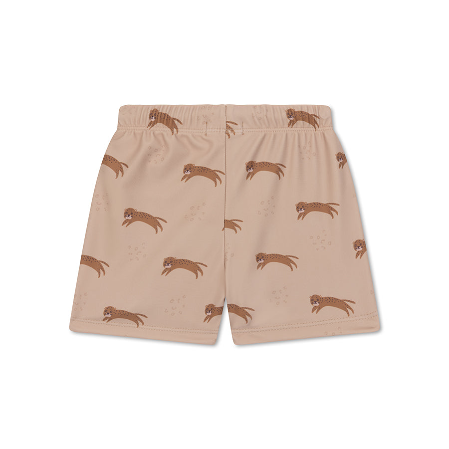 Zwemboxer - Bruin - Roamer