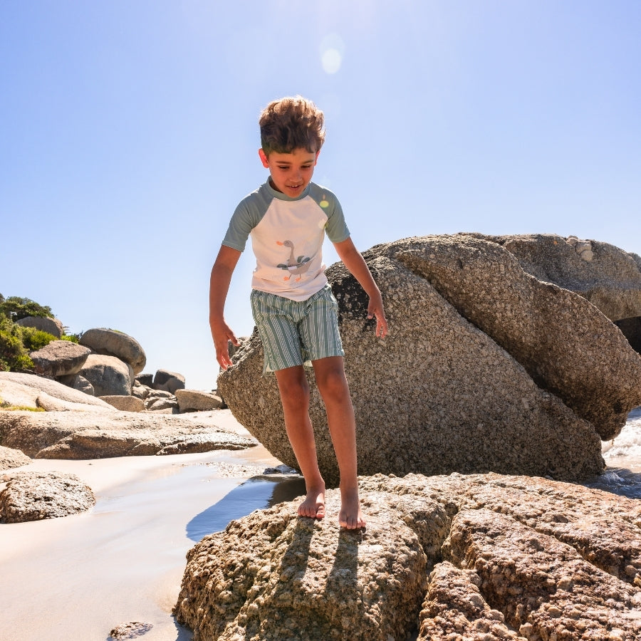 Zwemshirt Met Korte Mouwen - Groen - Resort Stripe