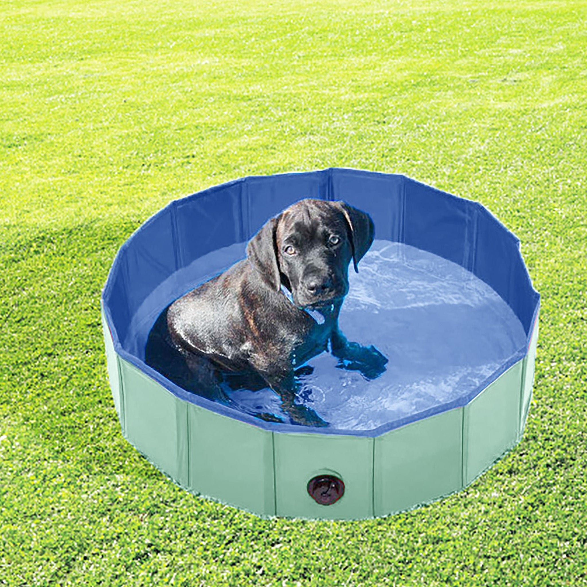Honden Zwembad Mintgroen Ø 80 cm