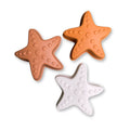 strandspeelset-sea-stars-swim-essentials-4