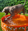 honden-zwembad-oranje-botjes-80-cm-swim-essentials-7