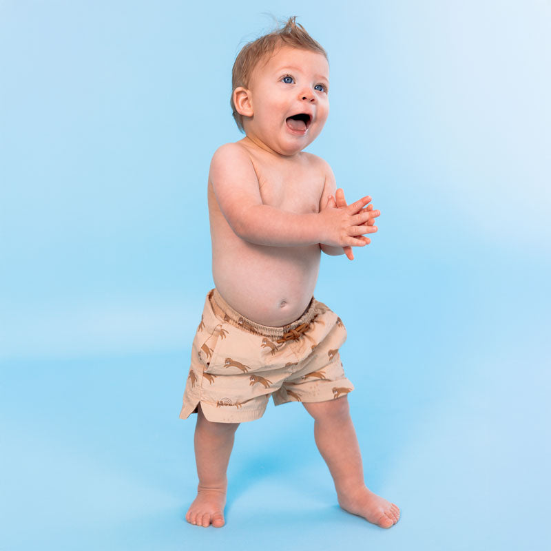 Zwembroek - Bruin - Roamer