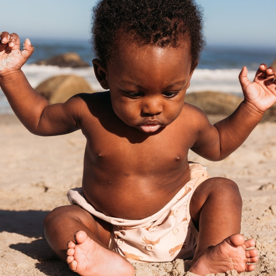 Zwemluier - Bruin - Roamer