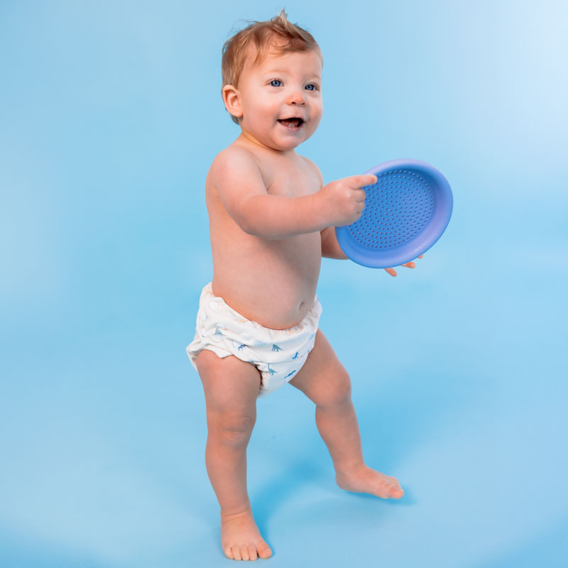 Zwemluier - Meerkleurig - Dino